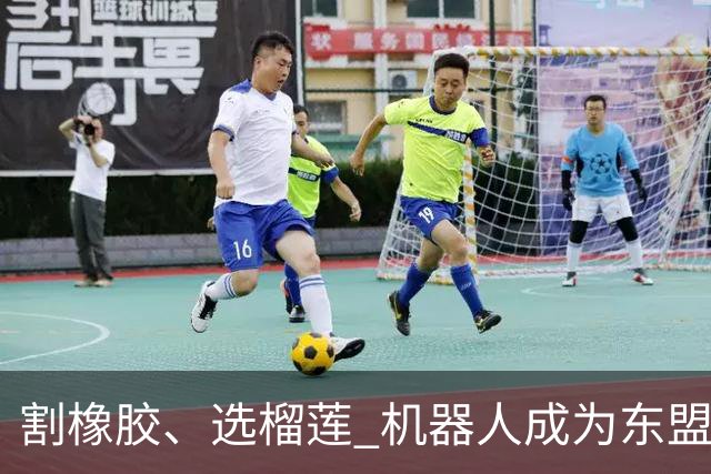 割橡胶、选榴莲 机器人成为东盟市场“新宠” 各国释放明确需求信号